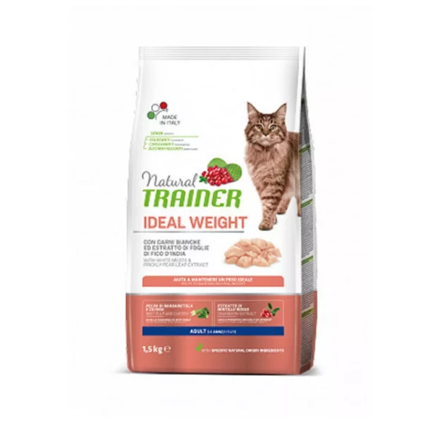 Natural Trainer Gatto Light